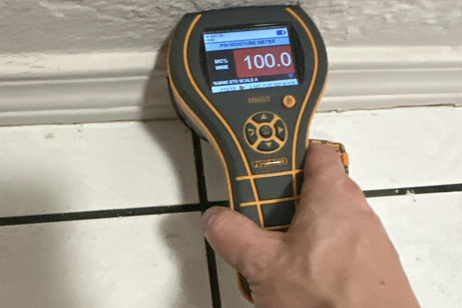 Moisture meter device held in hand, displaying reading of 100.