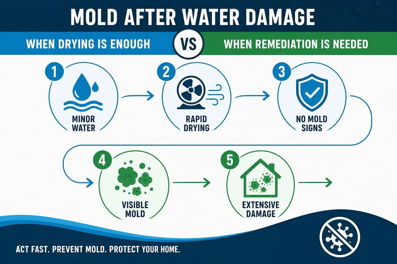 Infographic compares rapid drying, no mold signs, and visible mold